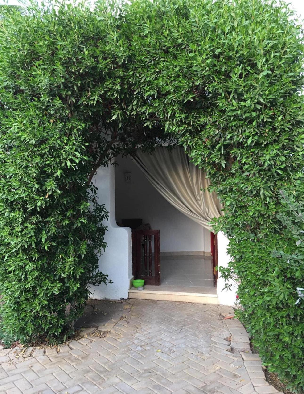 Apartment In Sheik *