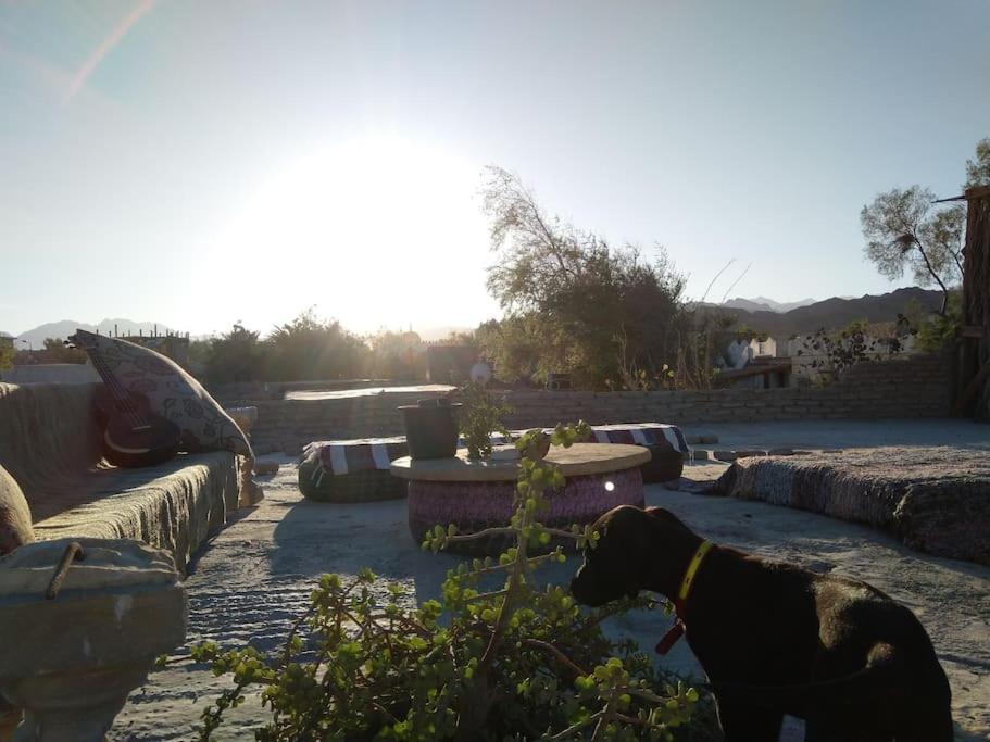 House With 2bed And Rooftop Holiday home Dahab
