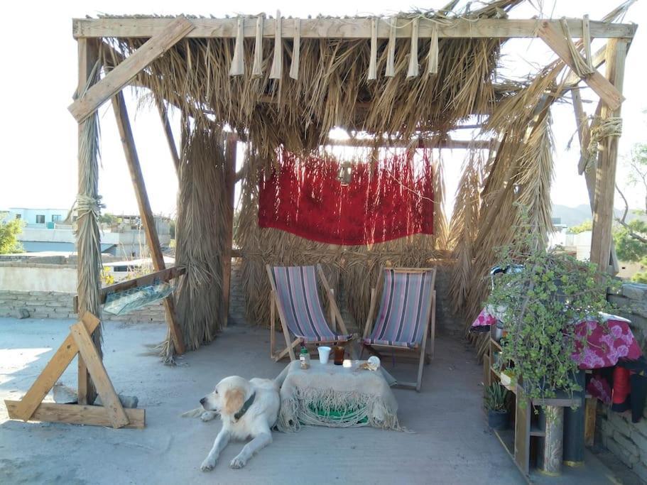 House With 2bed And Rooftop Dahab