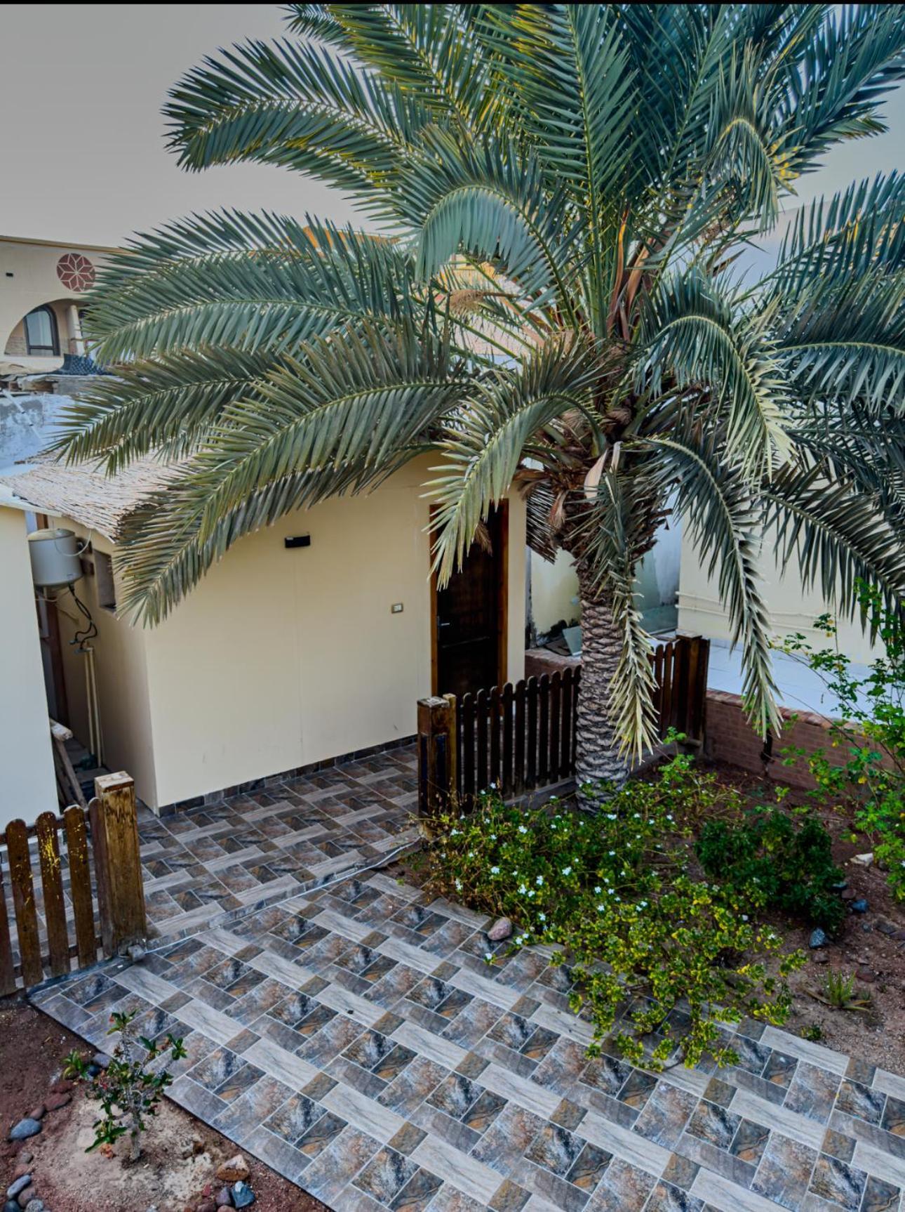 Miramar Camp Dahab