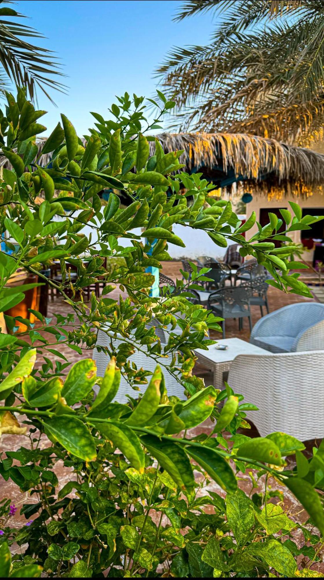 Otel Miramar Camp Dahab