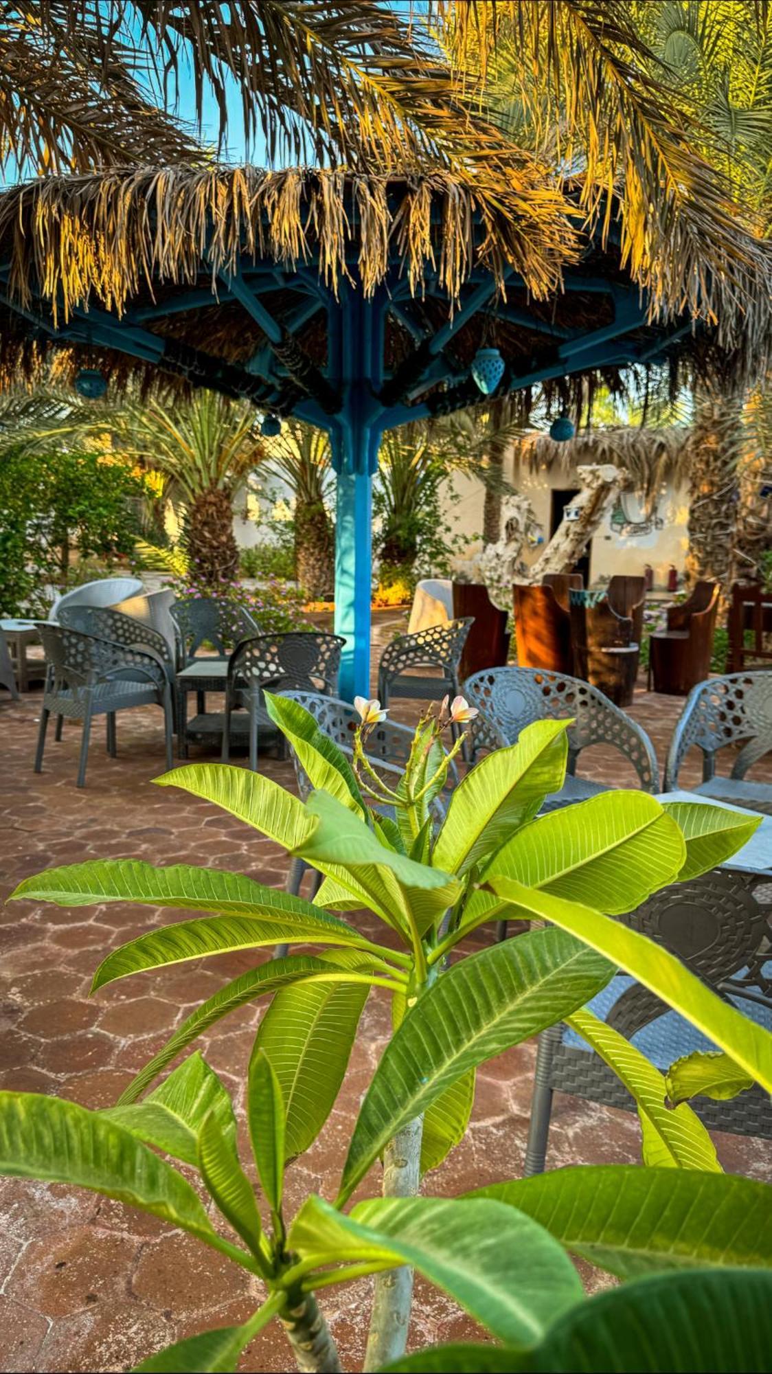 Otel Miramar Camp