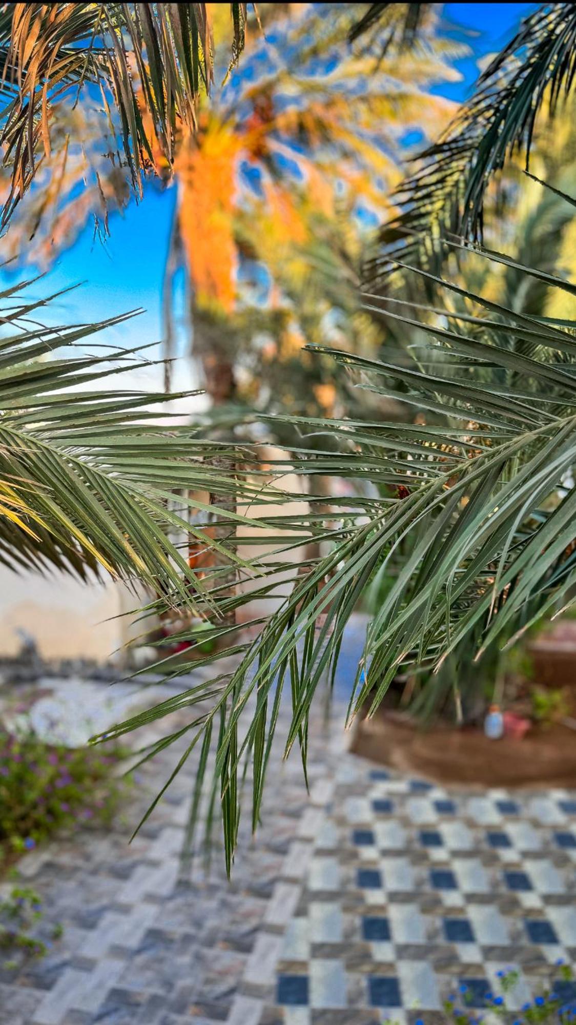 Miramar Camp Dahab
