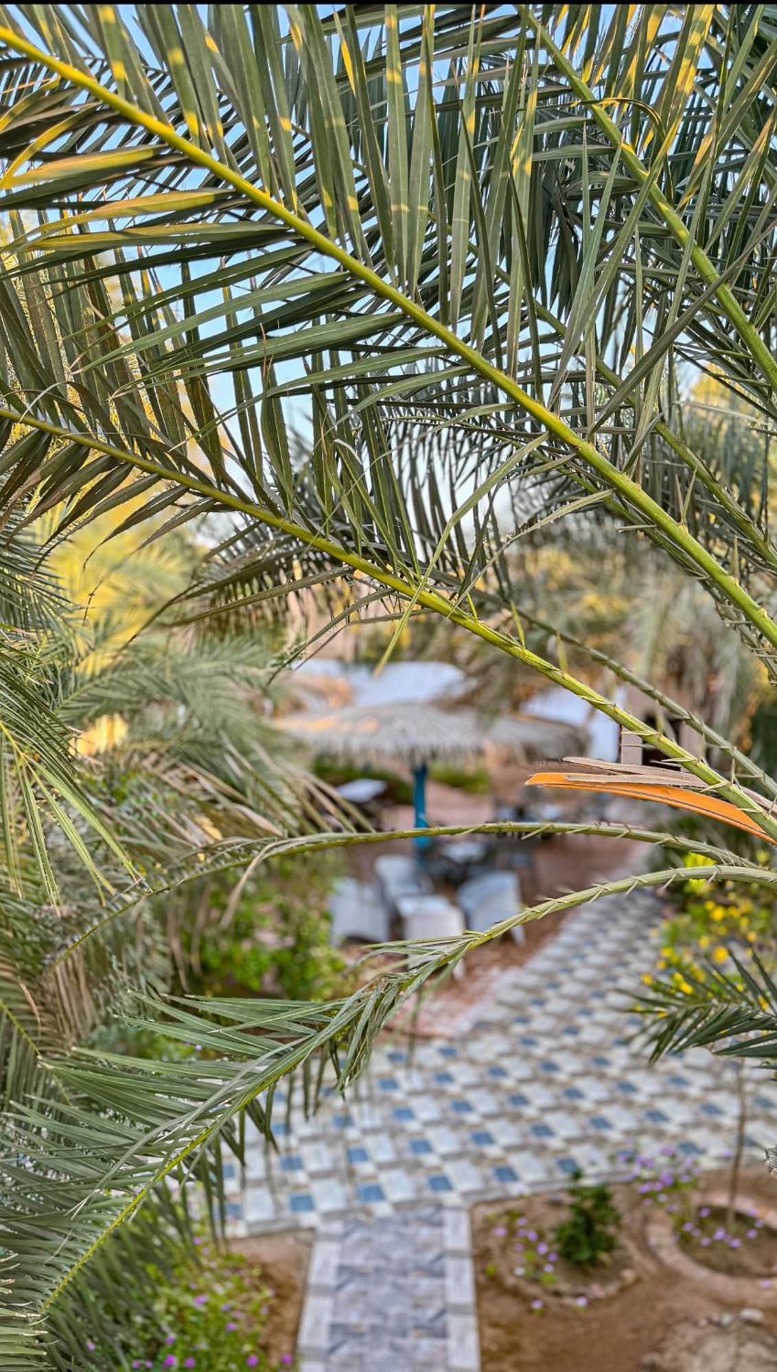 Miramar Camp * Dahab
