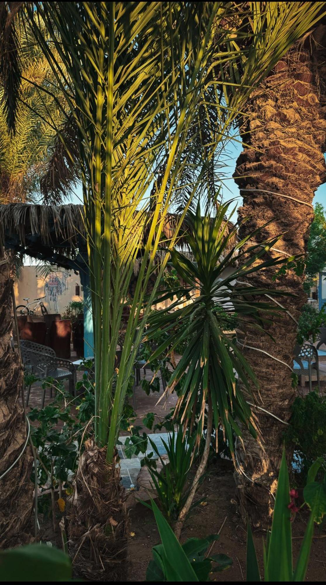 Otel Miramar Camp