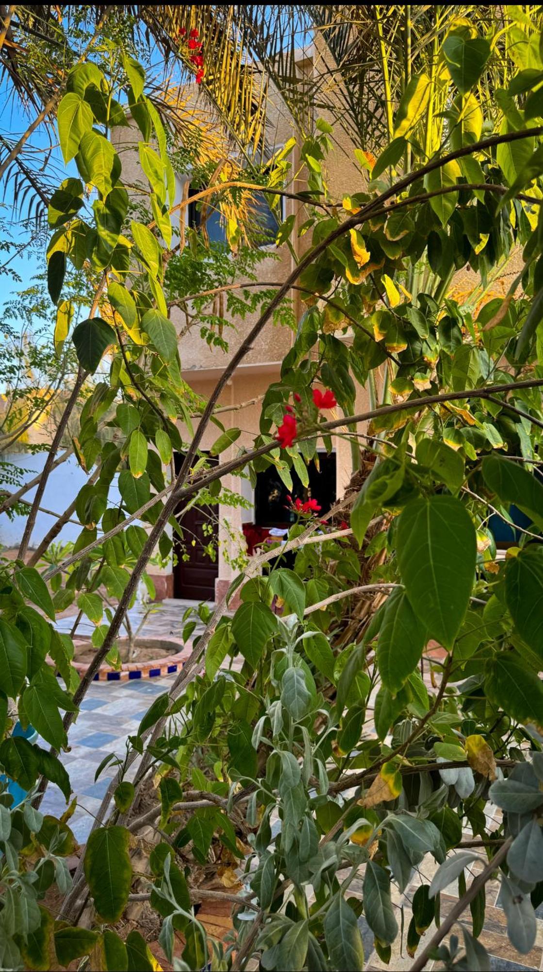 Otel Miramar Camp