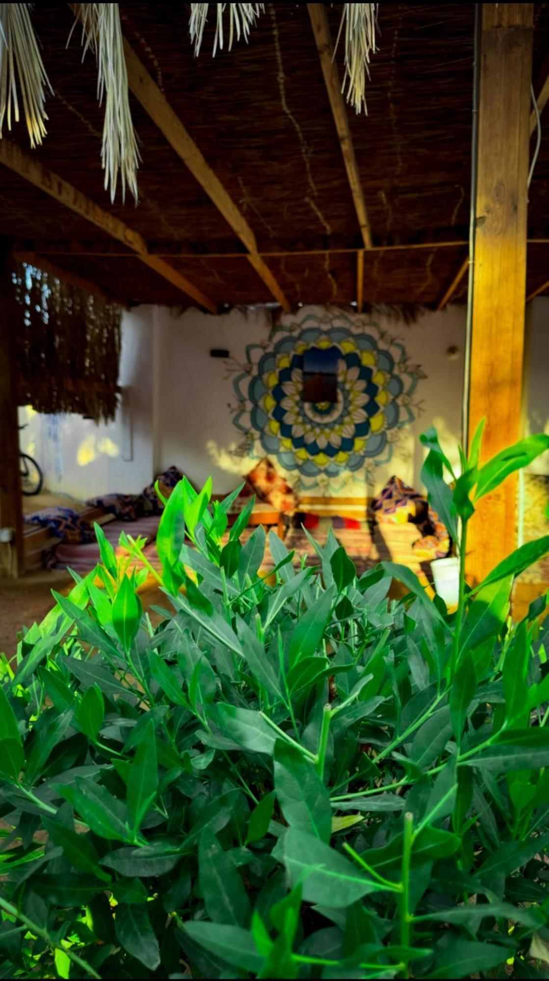 Otel Miramar Camp