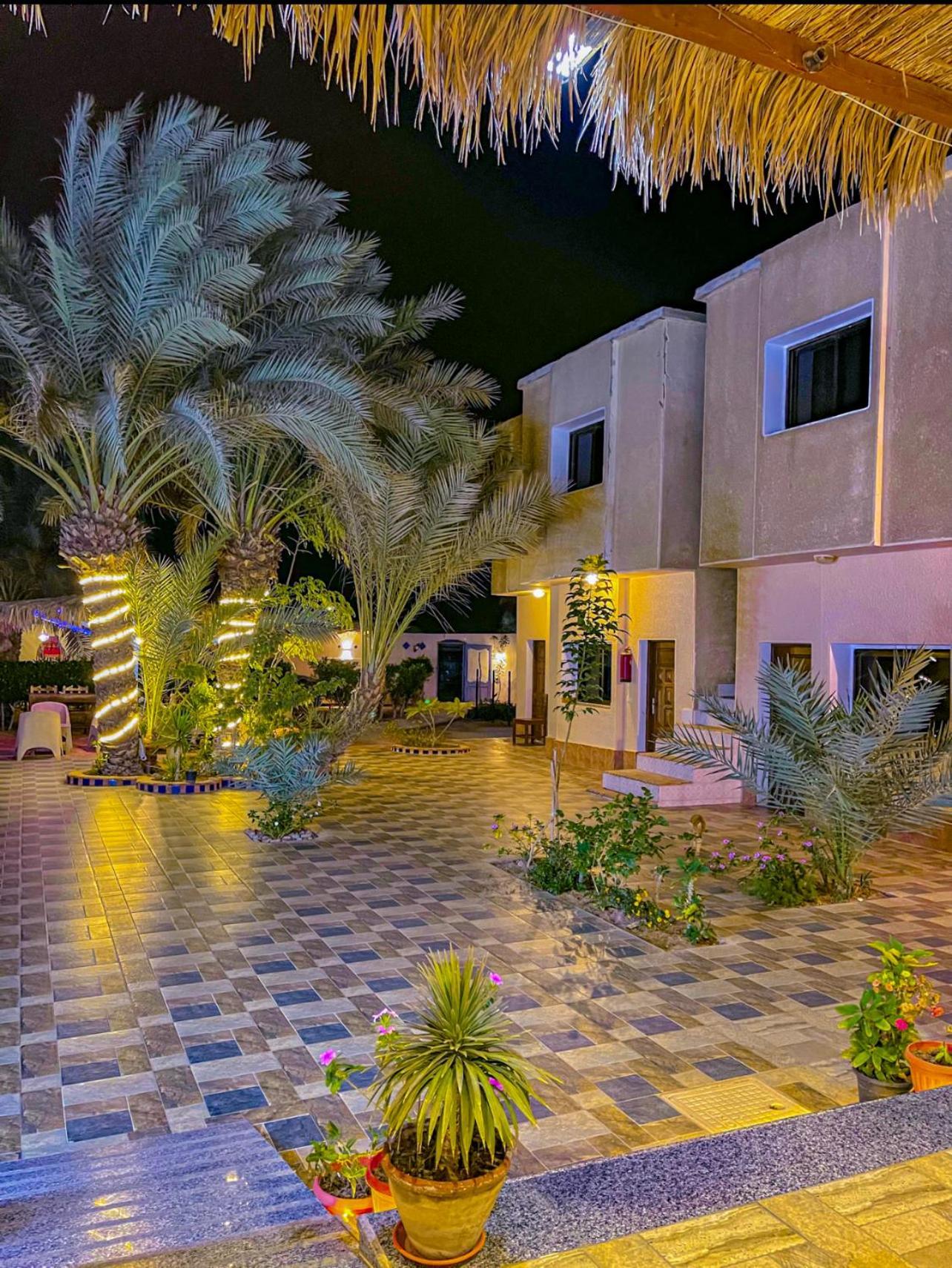 Miramar Camp * Dahab