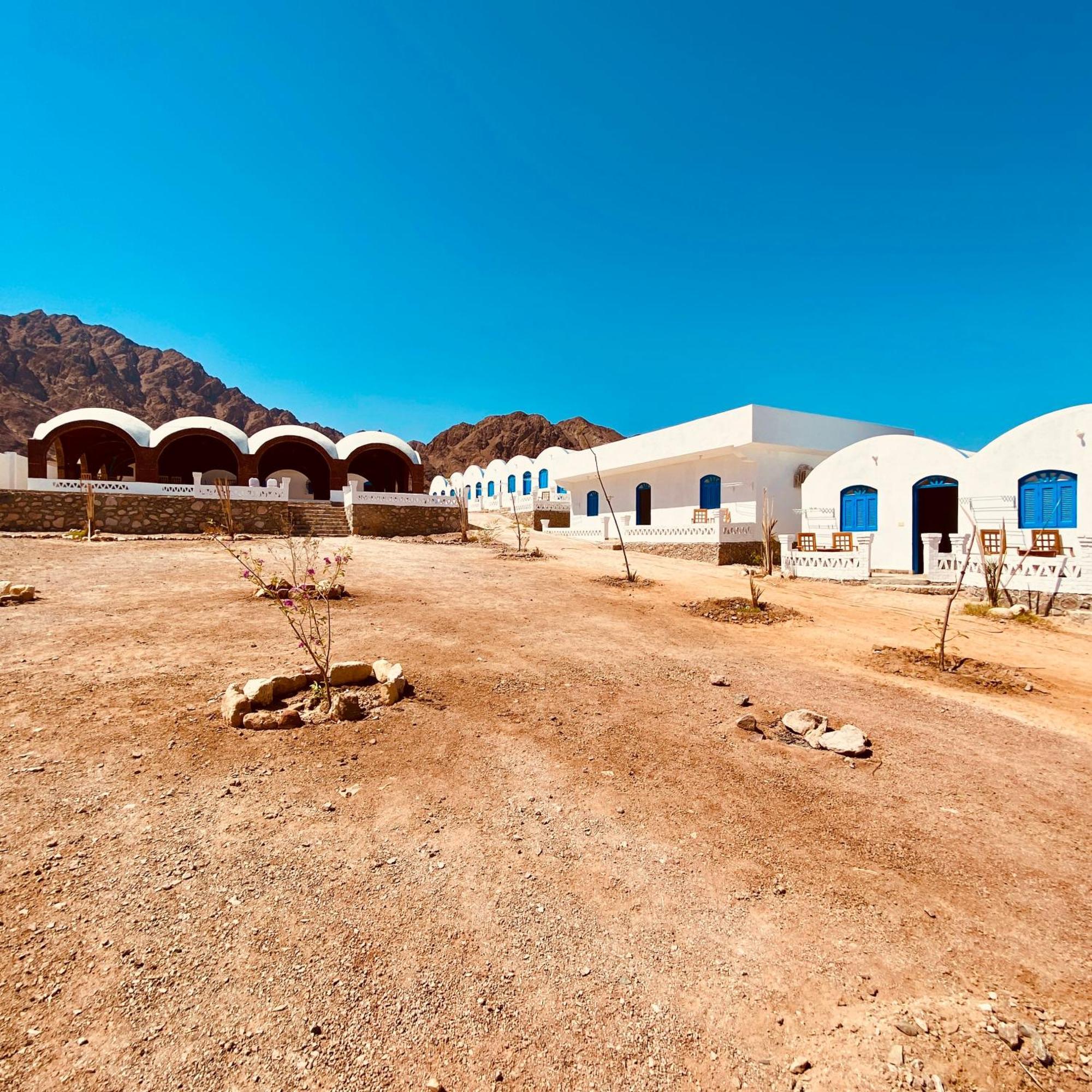 Campsite Palma Camp *