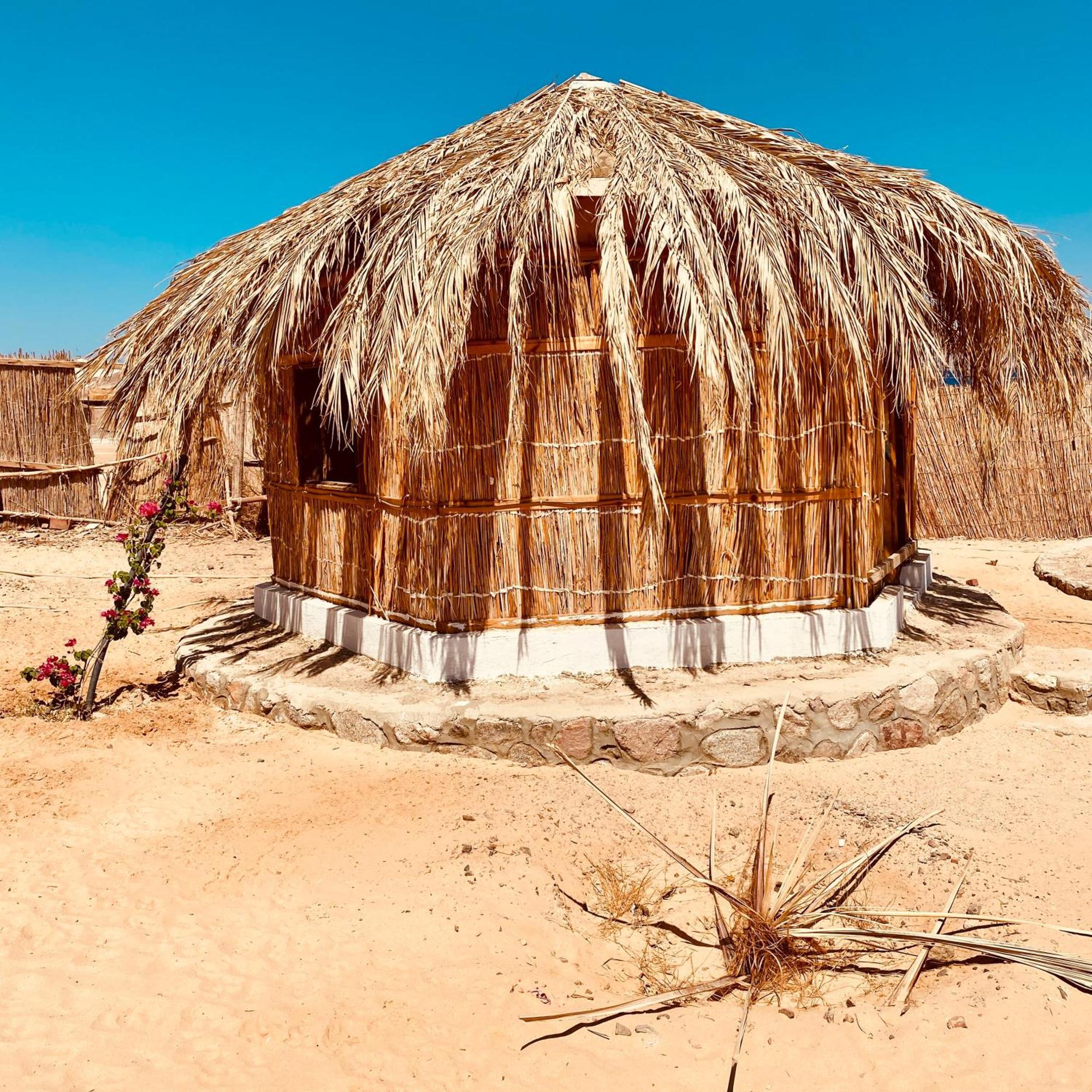 Campsite Palma Camp Nuweiba