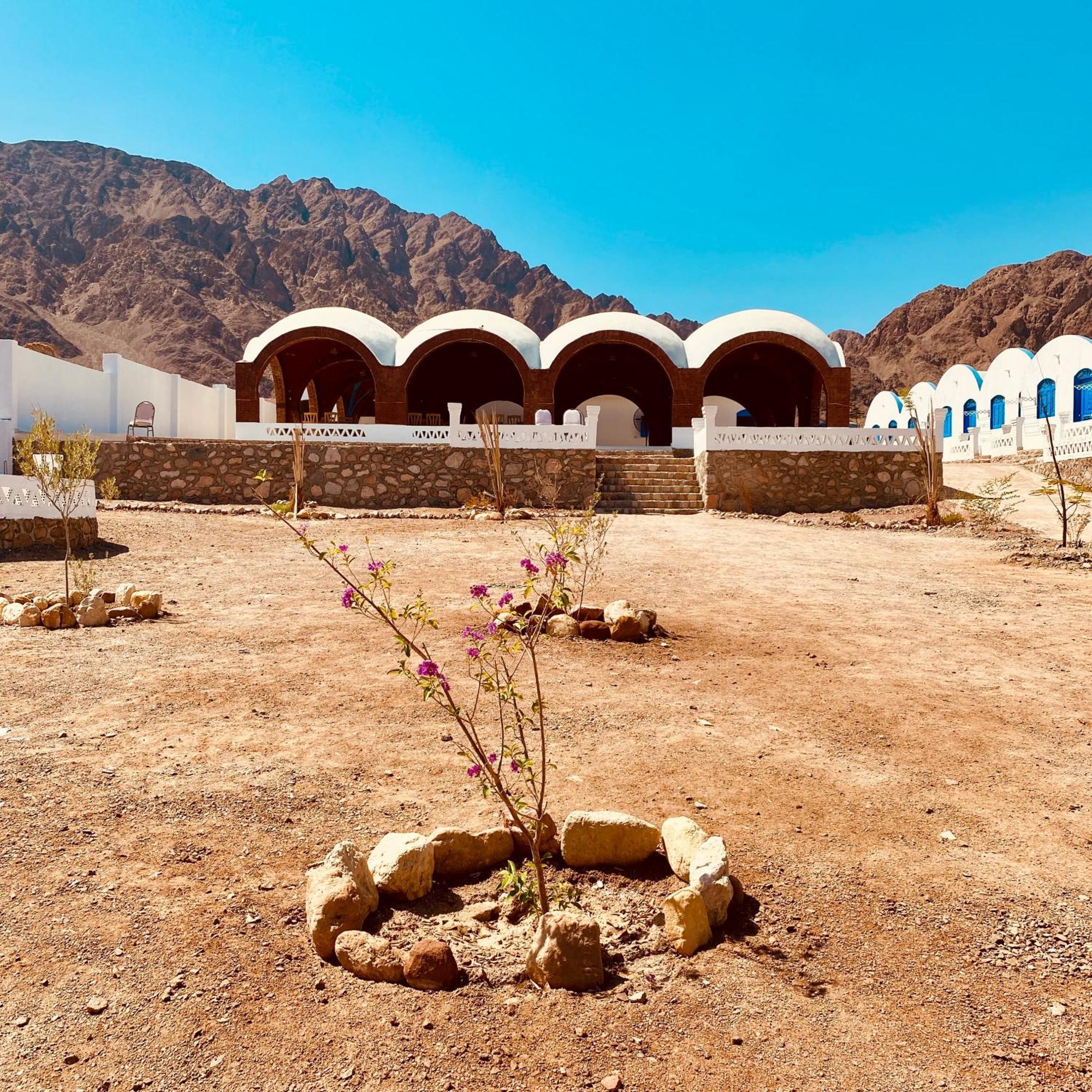 Palma Camp Campsite