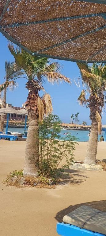 Egypt Traveler *