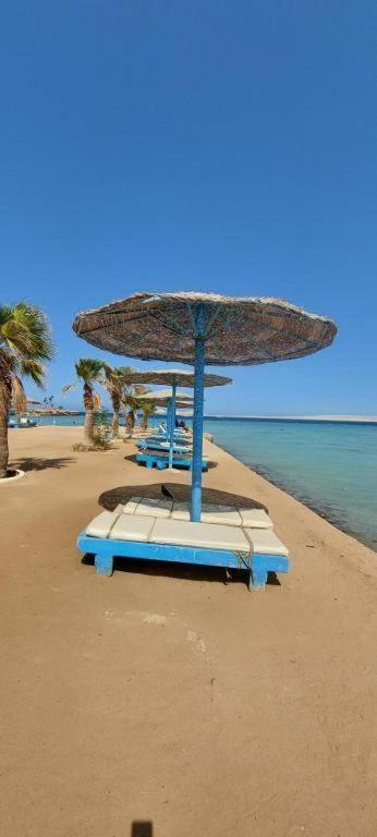 Egypt Traveler Acomodação com café da manhã 