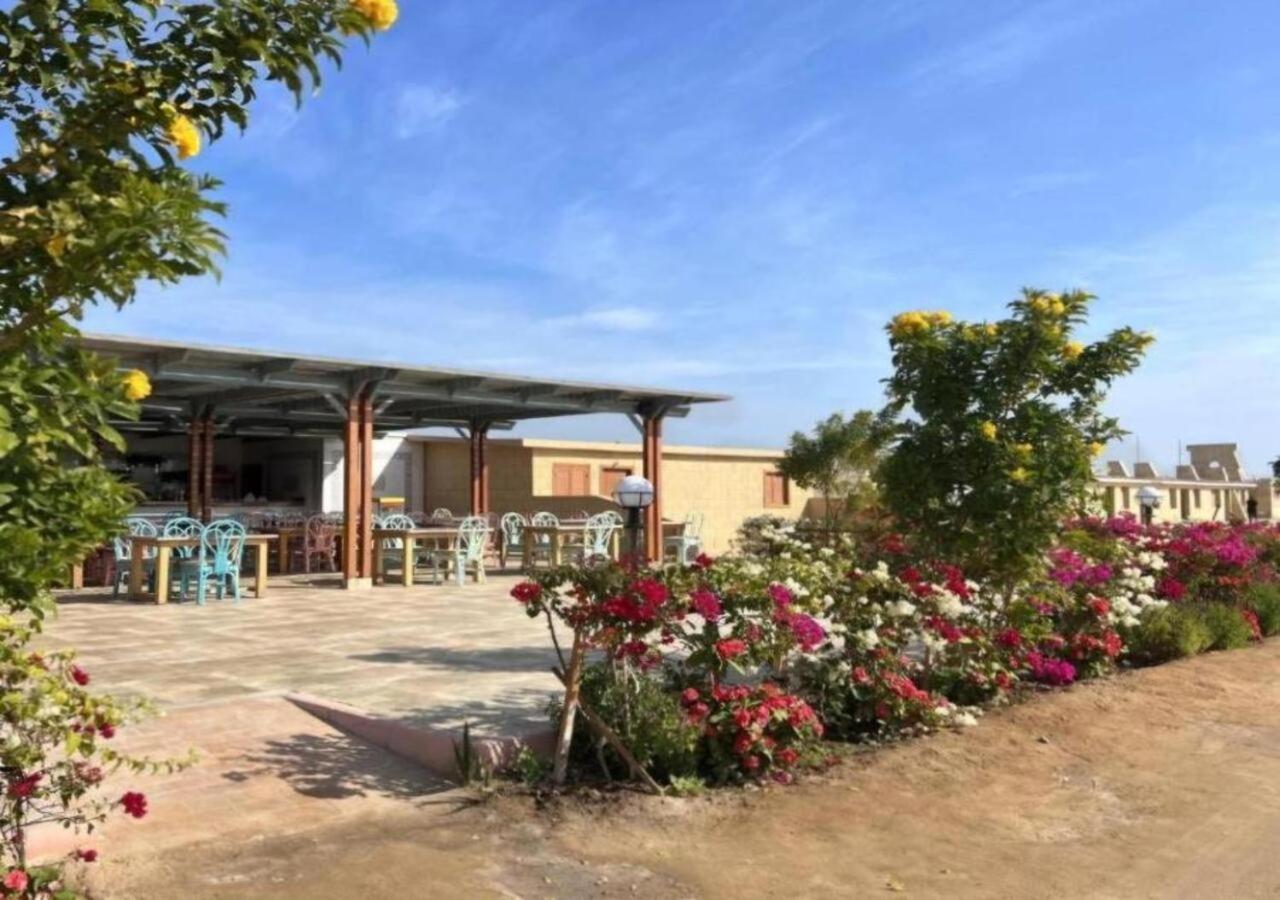 With Seaview, Amazing For Couples, Sunny & Seaview & Free Wi-fi Apartment *