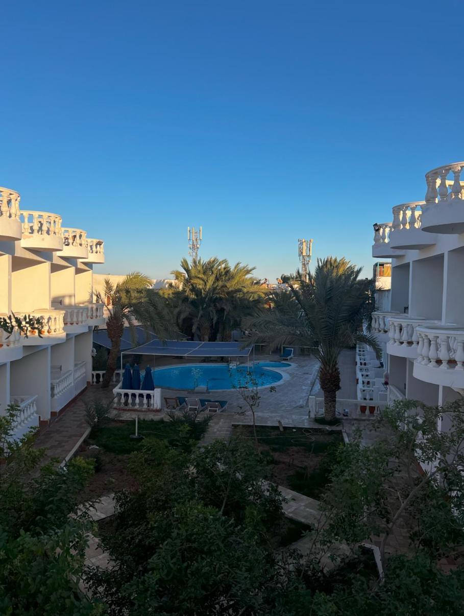 Octopus Resort Dahab