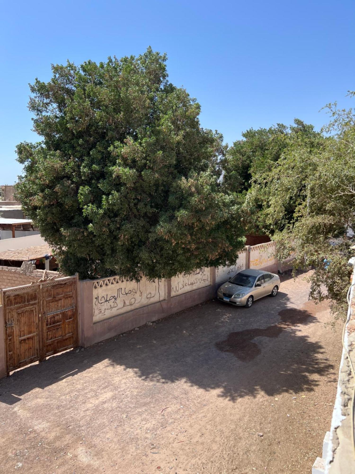 Manzzel Dahab