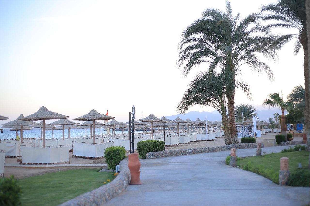 Imperial Shams Abu Soma 4*