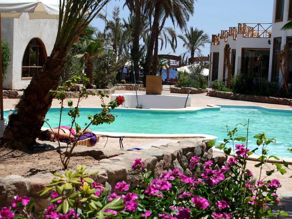 Resort Planet Oasis 3*