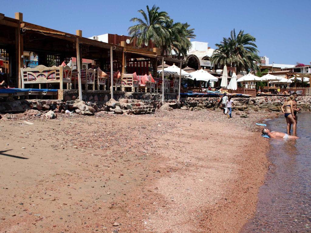 Planet Oasis Dahab