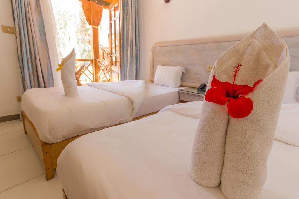 Resort Acacia Dahab