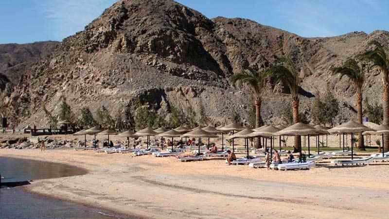 Sol Y Mar Sea Star Taba