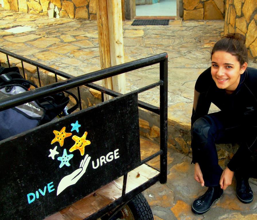 Inn Dive Urge Dahab