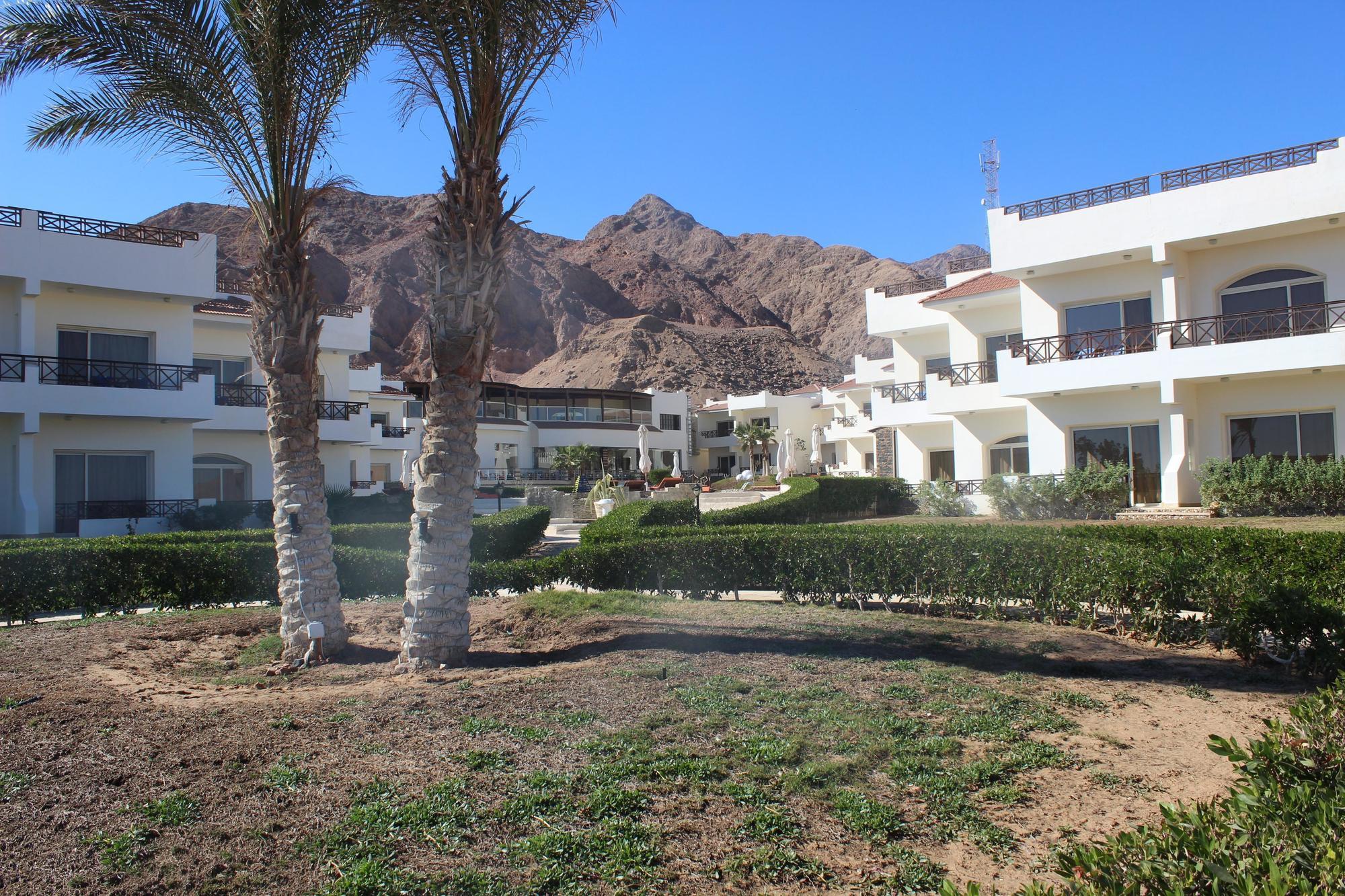 Sea Sun 4*