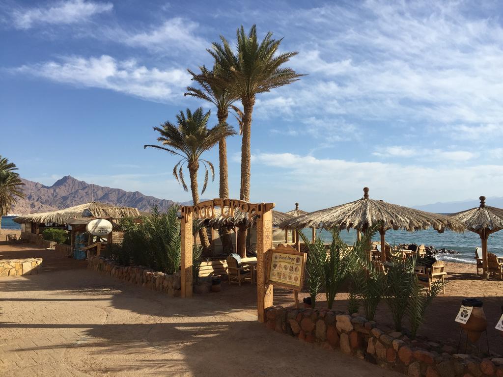 Dive Urge Inn 3*