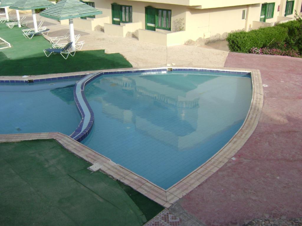 Nefertiti Sun Flower Hurghada