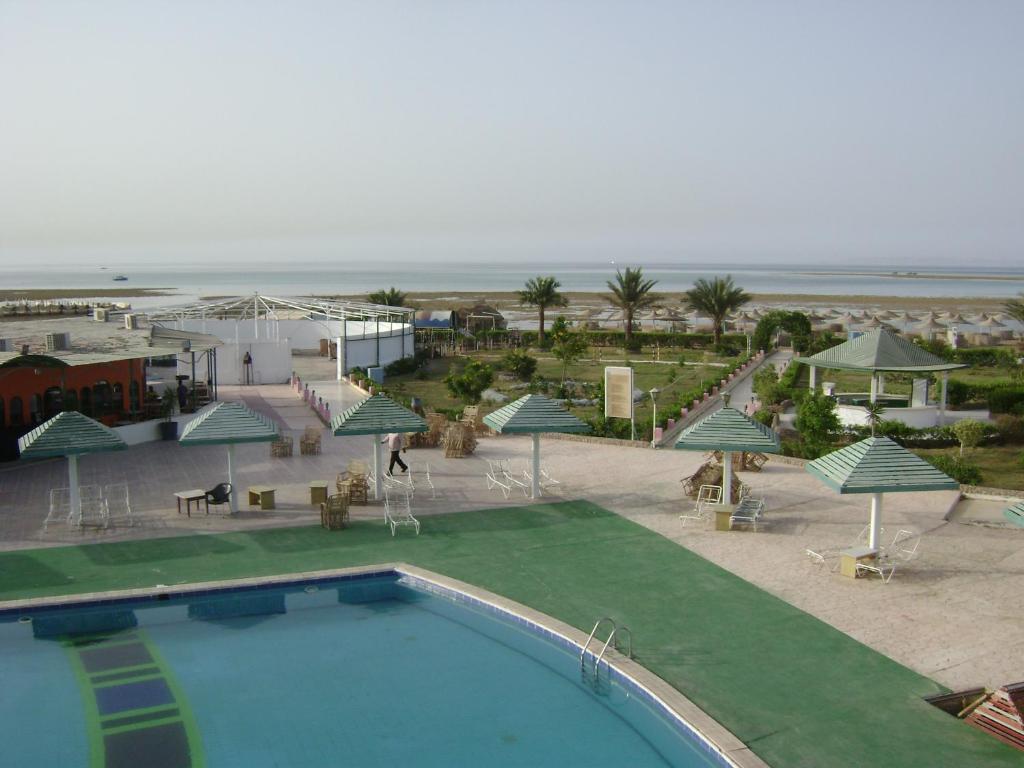 Nefertiti Sun Flower Hurghada