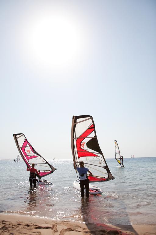 Ganet Sinai