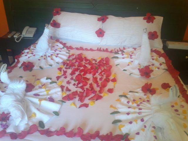 Nefertiti Sun Flower Hotel