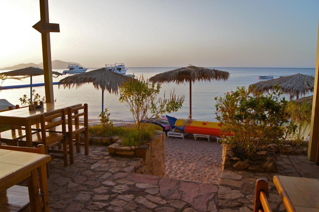 Umbi Sharks Bay Diving Village Resort Sharm el-Sheikh