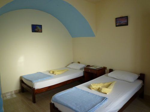 Hostel Dolphin Camp