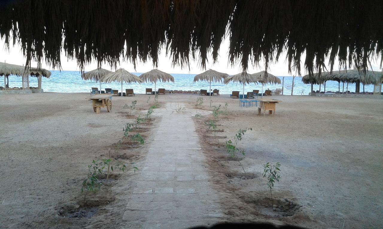 Resort Wishwashi Camp &