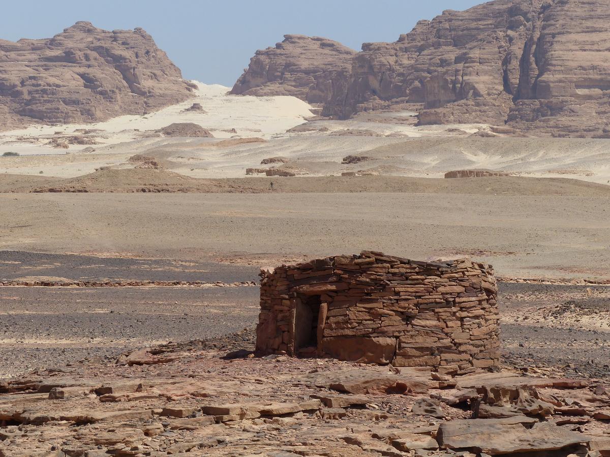 Think On Red Sea