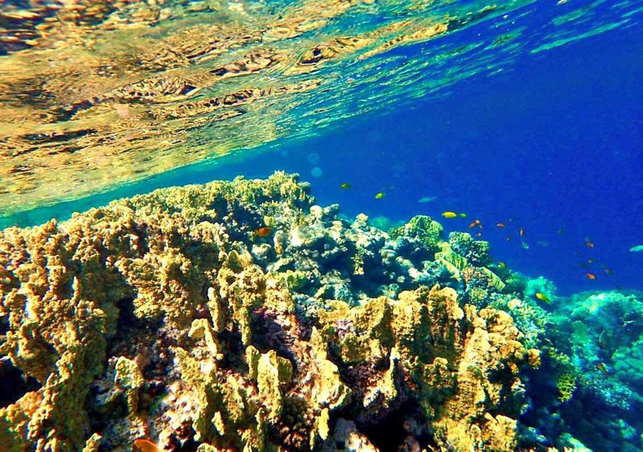 Sharm El Naga And Diving Center Campsite