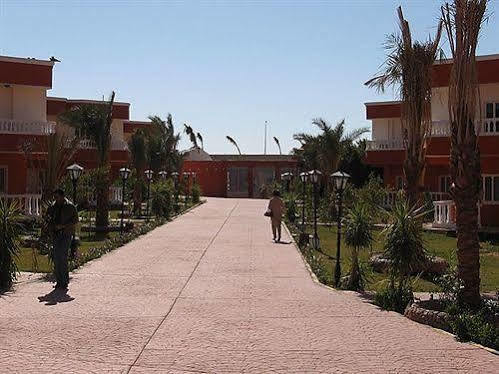 Hotel Nefertiti Sun Flower Hurghada