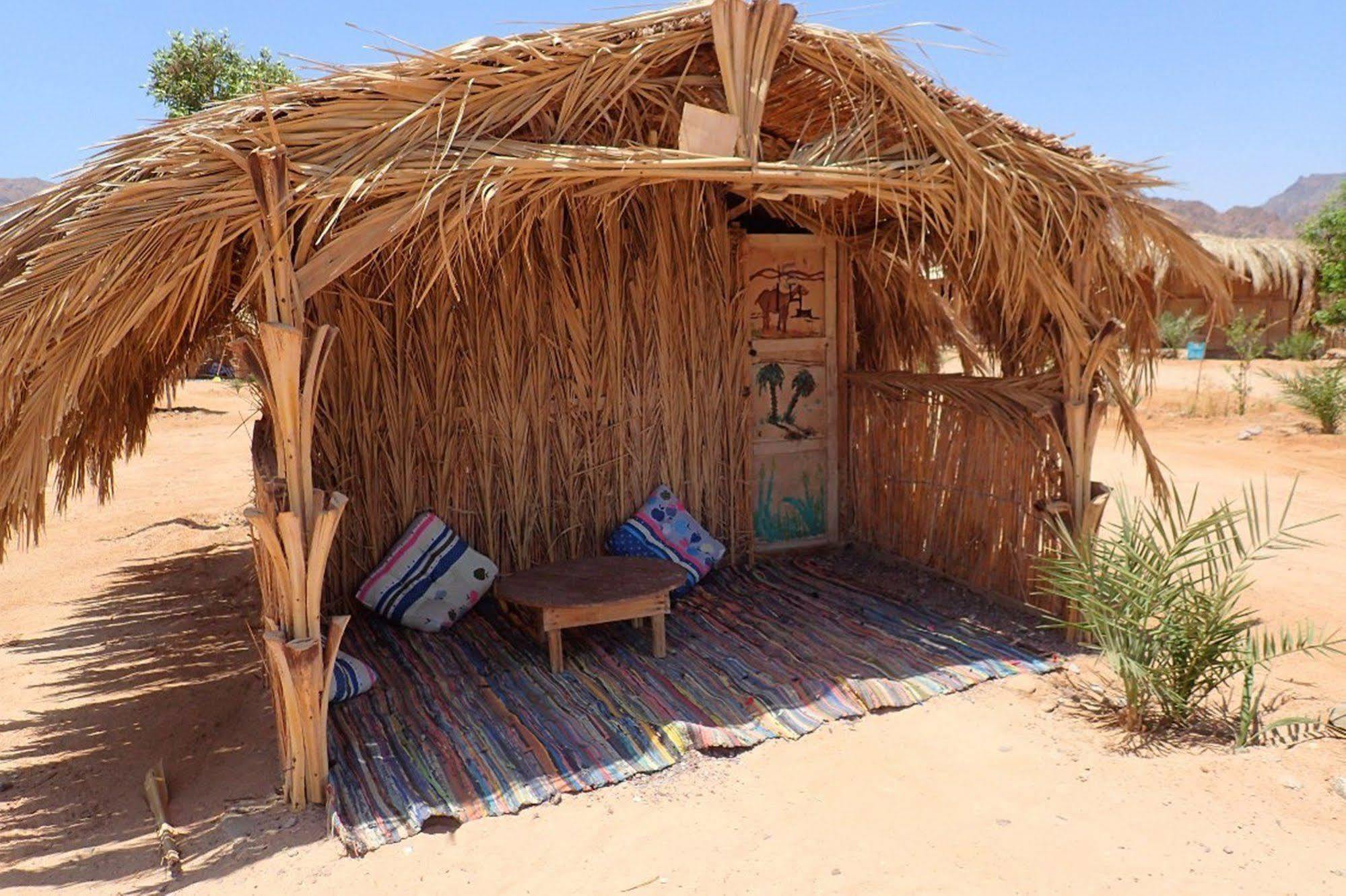 Bedouin Star Campsite Taba