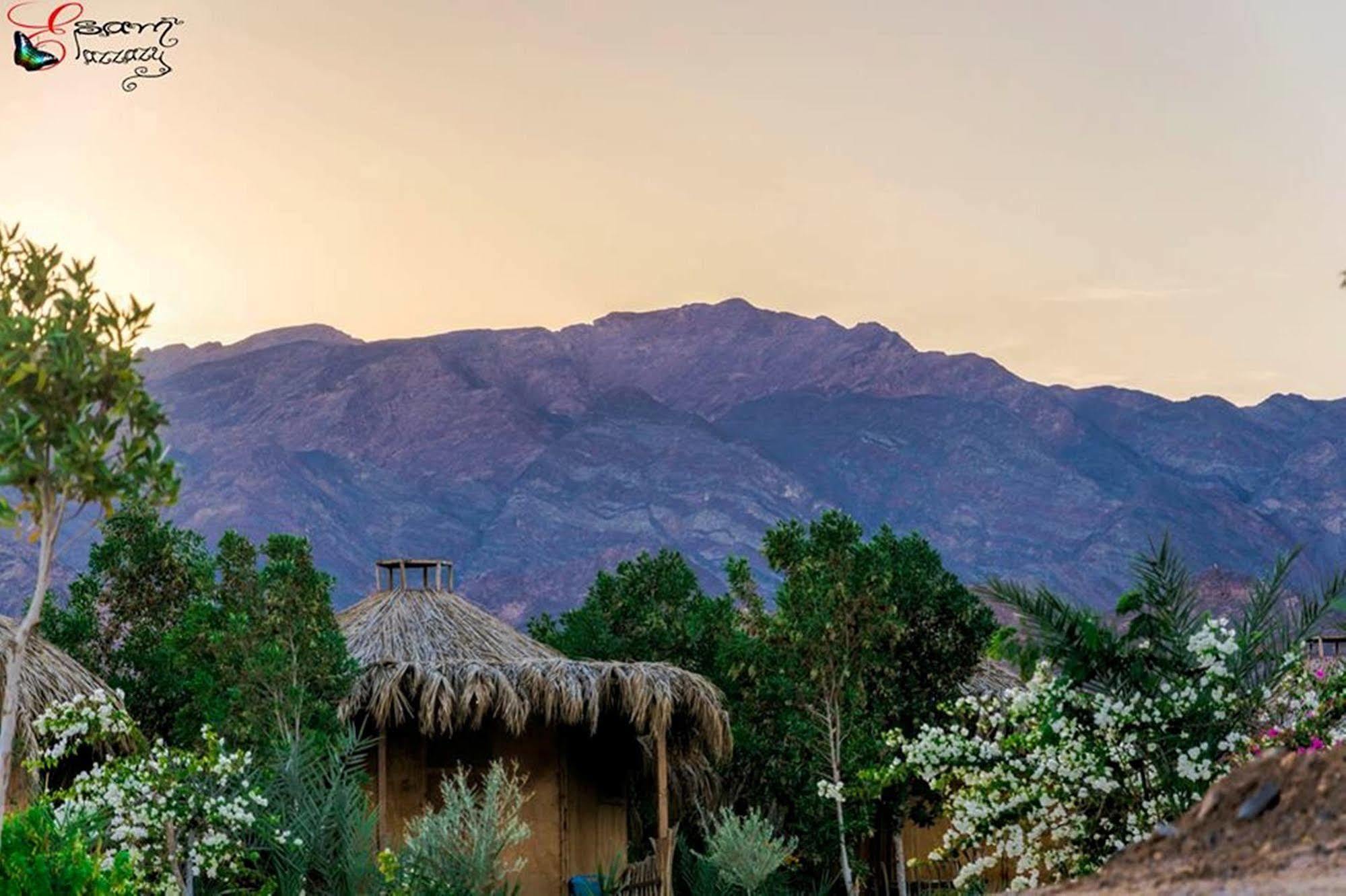 Bedouin Star 4*