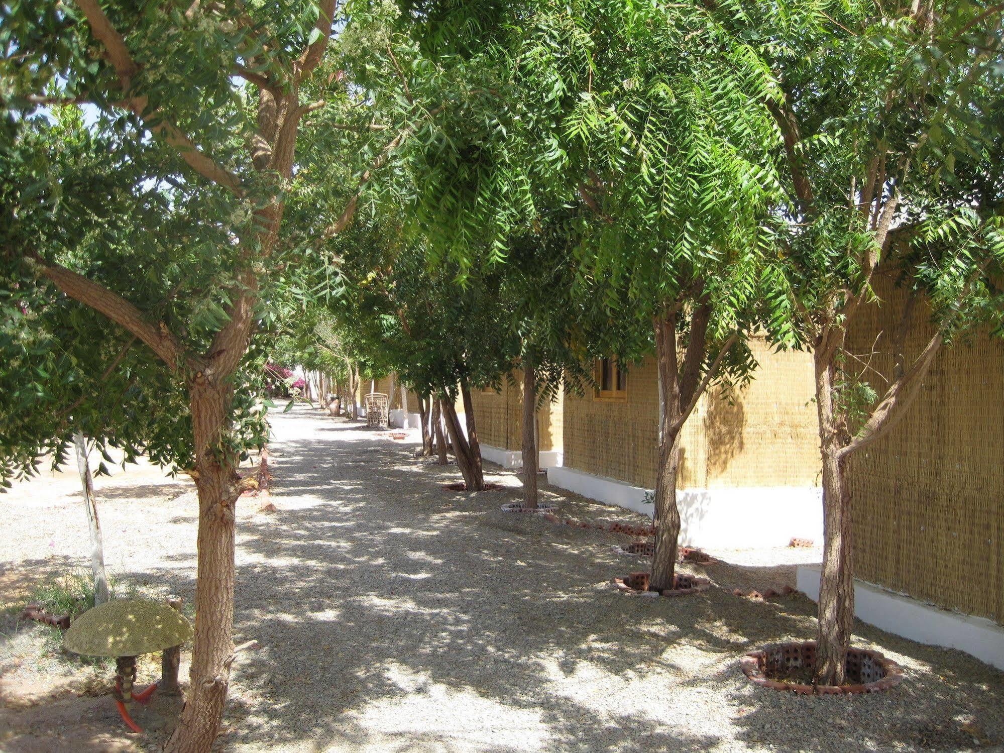Umbi Sharks Bay Diving Village