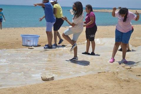 Hotel Yara Queen 3*
