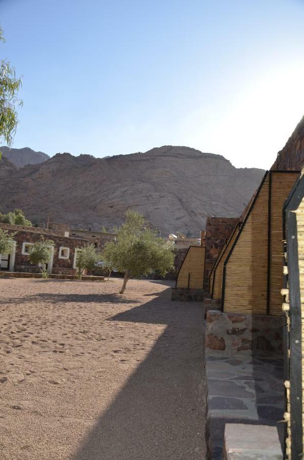 Sheikh Mousa Bedouin Camp Saint Catherine