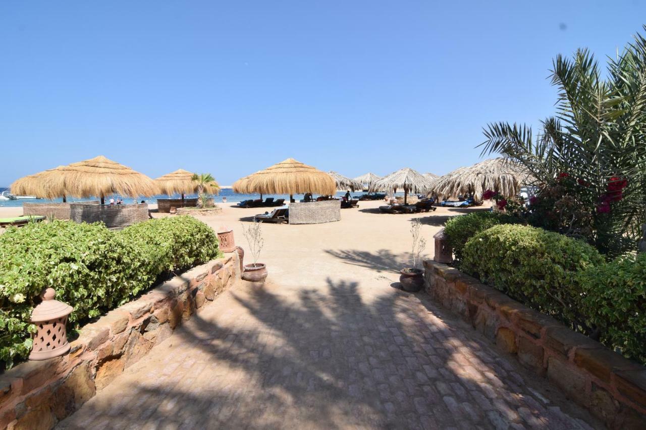 Sharm El Naga And Diving Center Campsite 3*