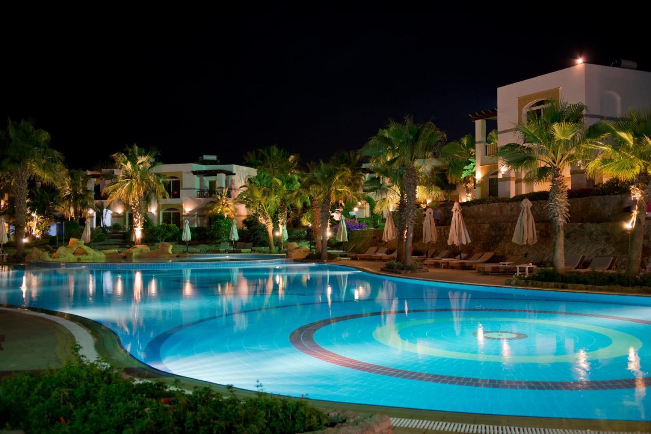 Amphoras Blu 4*