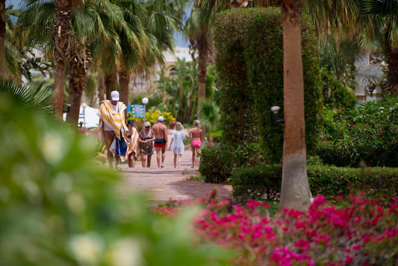 Amphoras Blu 4* Sharm el-Sheikh