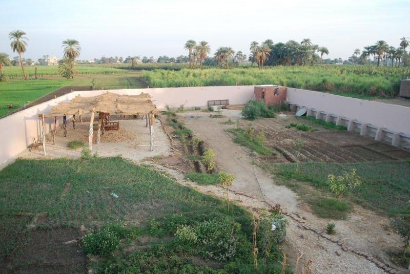 Leyla Eco Queen Kır Evi Luksor