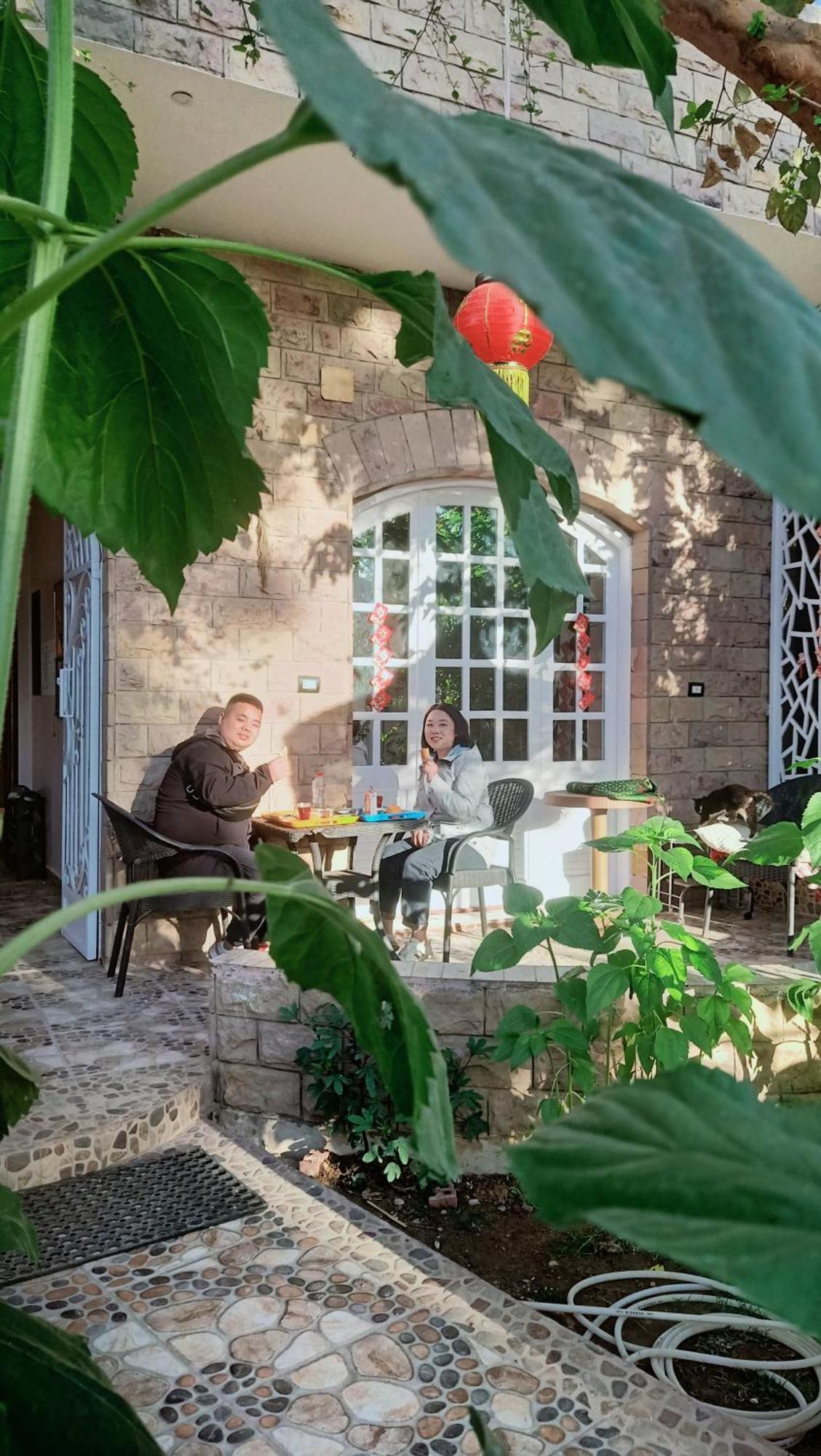 Dream Garden
