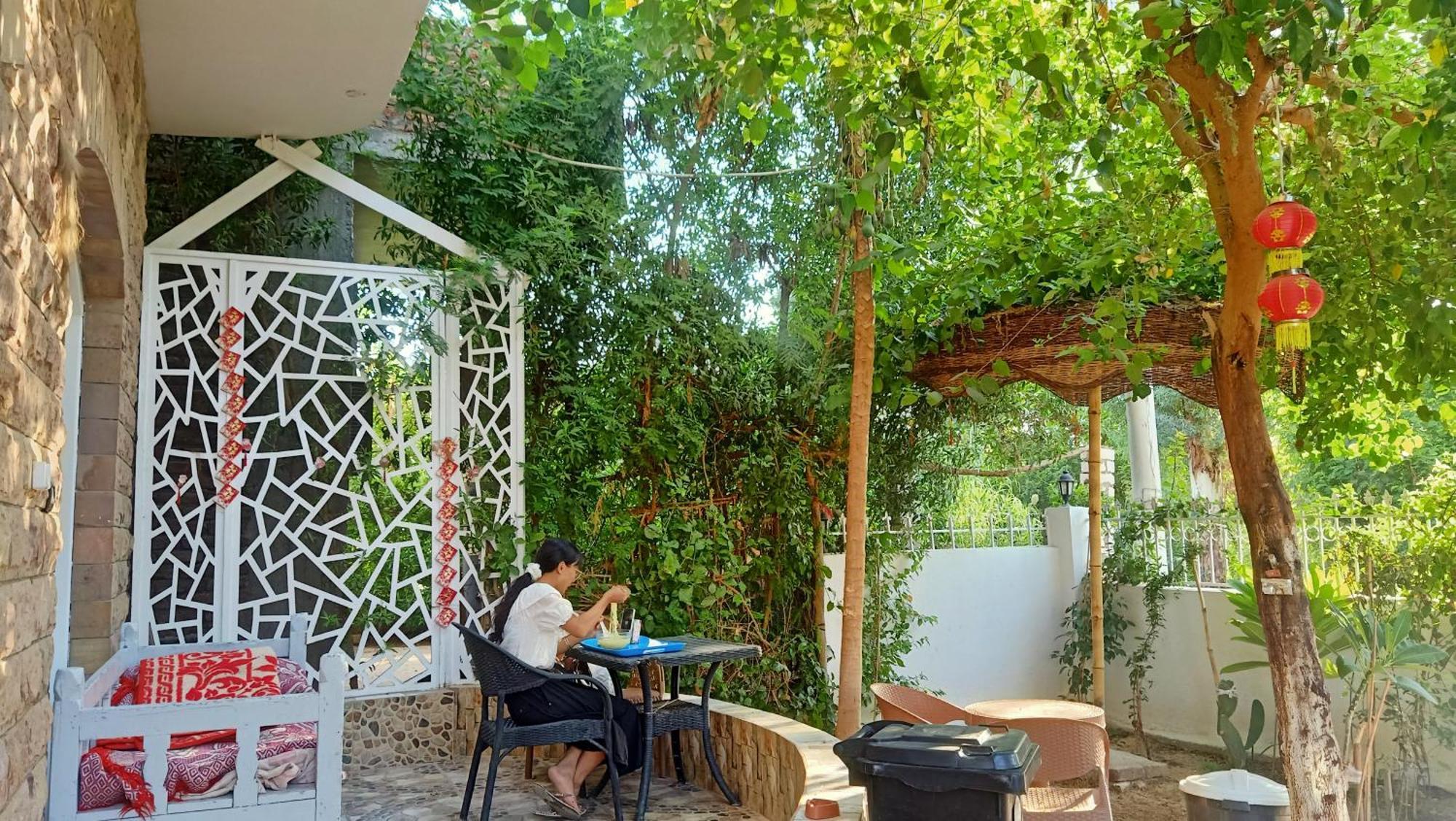 Dream Garden