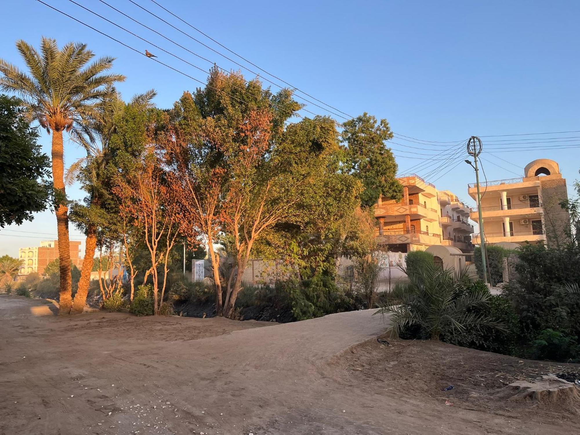 Habiba * Luxor